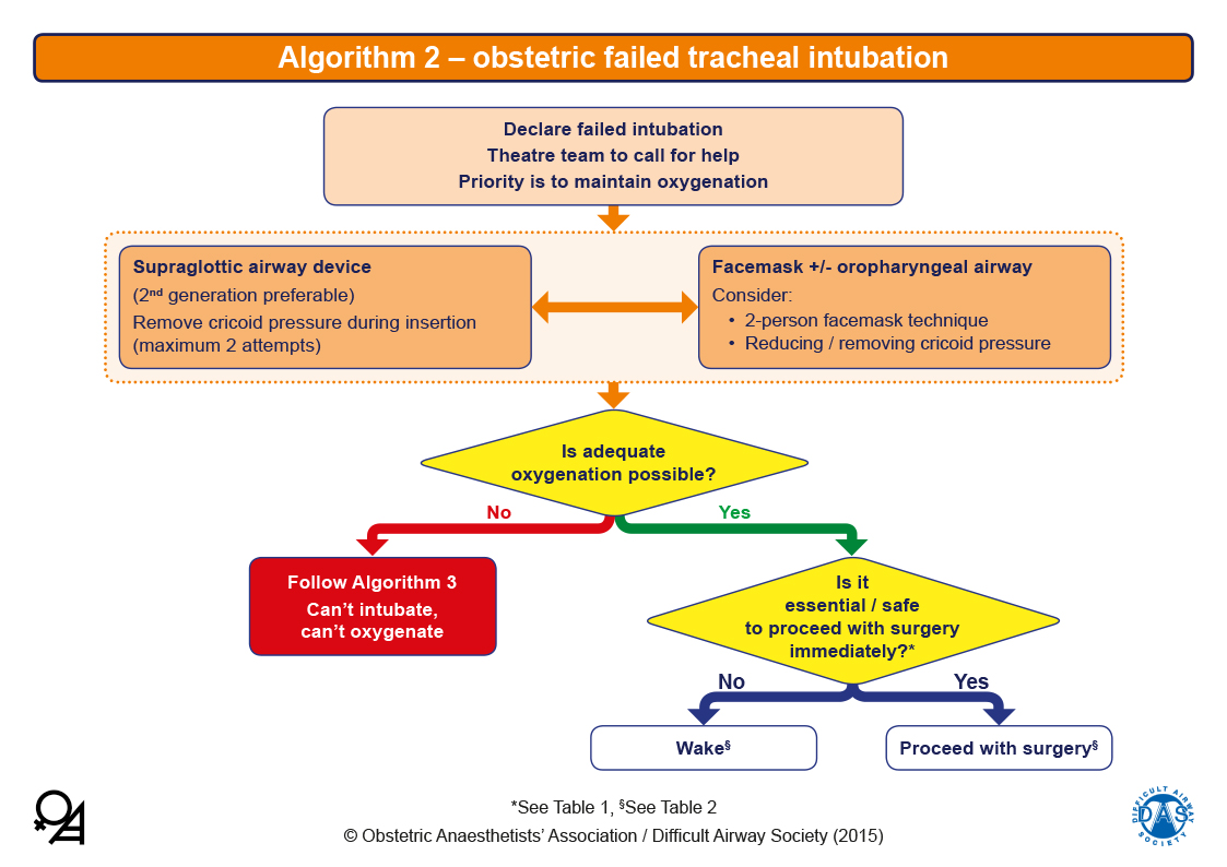 Obstetrics algorithm 2
